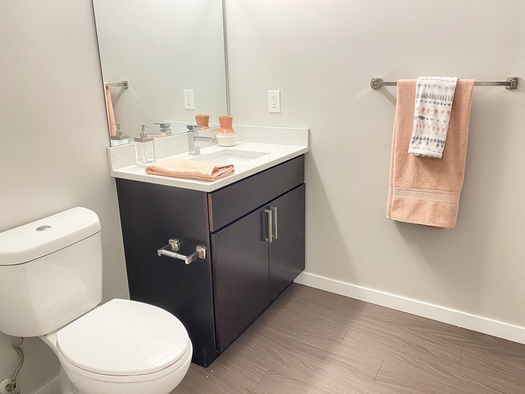 a bathroom with a toilet and a sink and a mirror