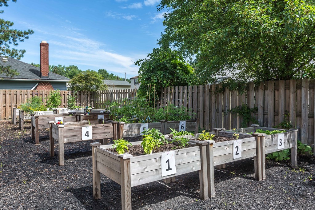 Community Garden