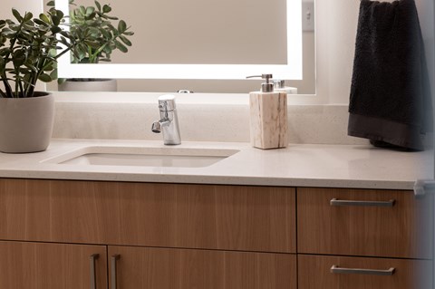 A bathroom sink with a marble soap holder and a potted plant.
