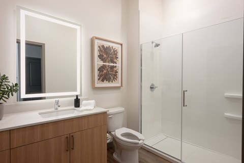 A bathroom with a toilet, sink, mirror, and a plant.
