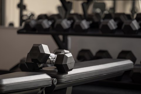 A pair of dumbbells rest on a bench in a gym.
