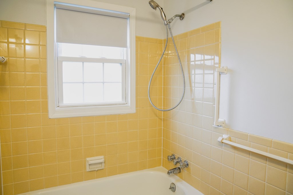a bathroom with a tub and a shower and a window