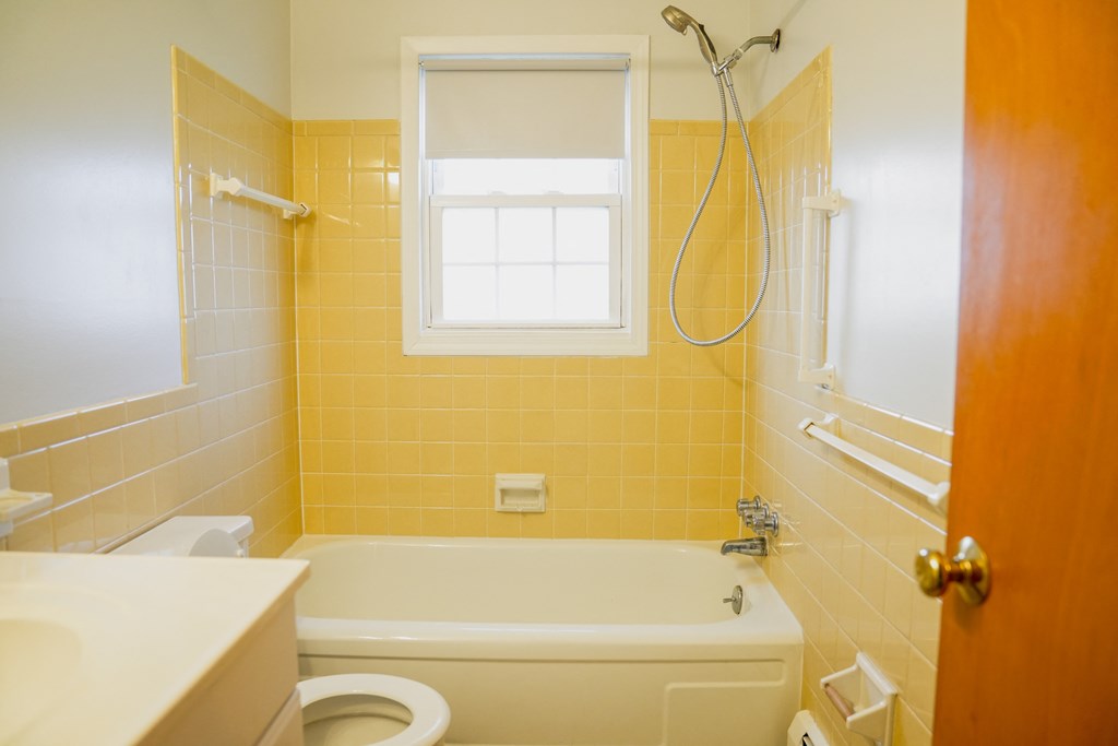 a bathroom with a tub and a toilet and a window