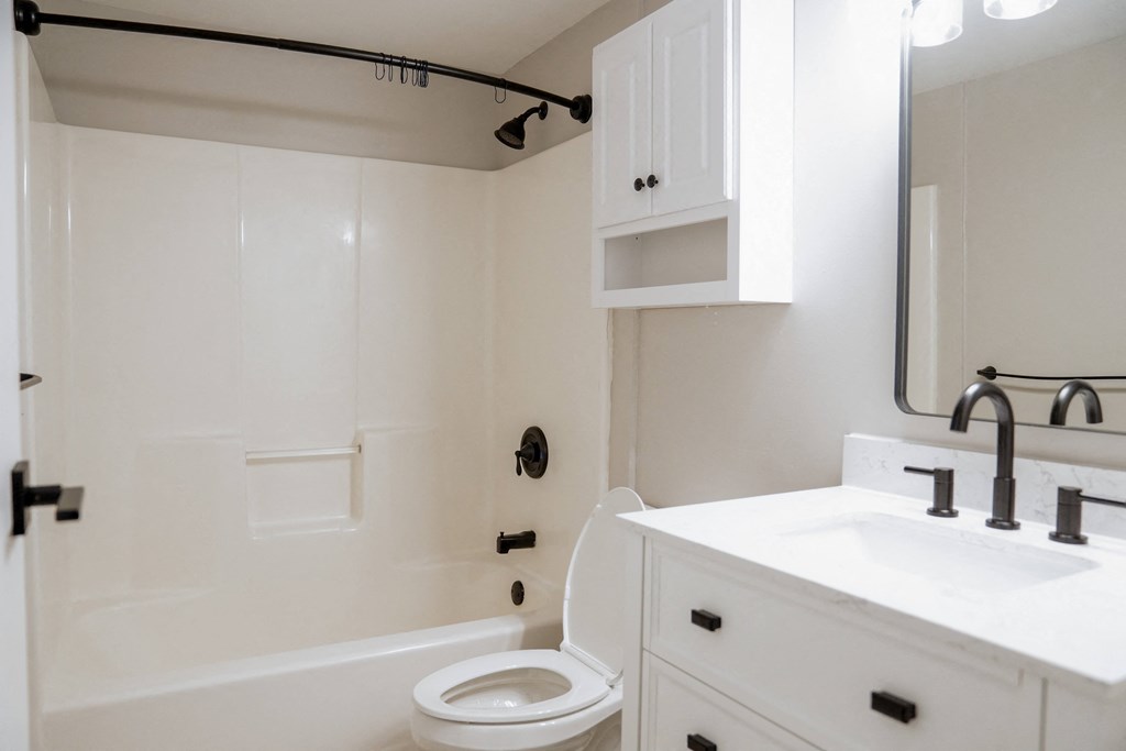 a bathroom with a sink and a toilet and a shower