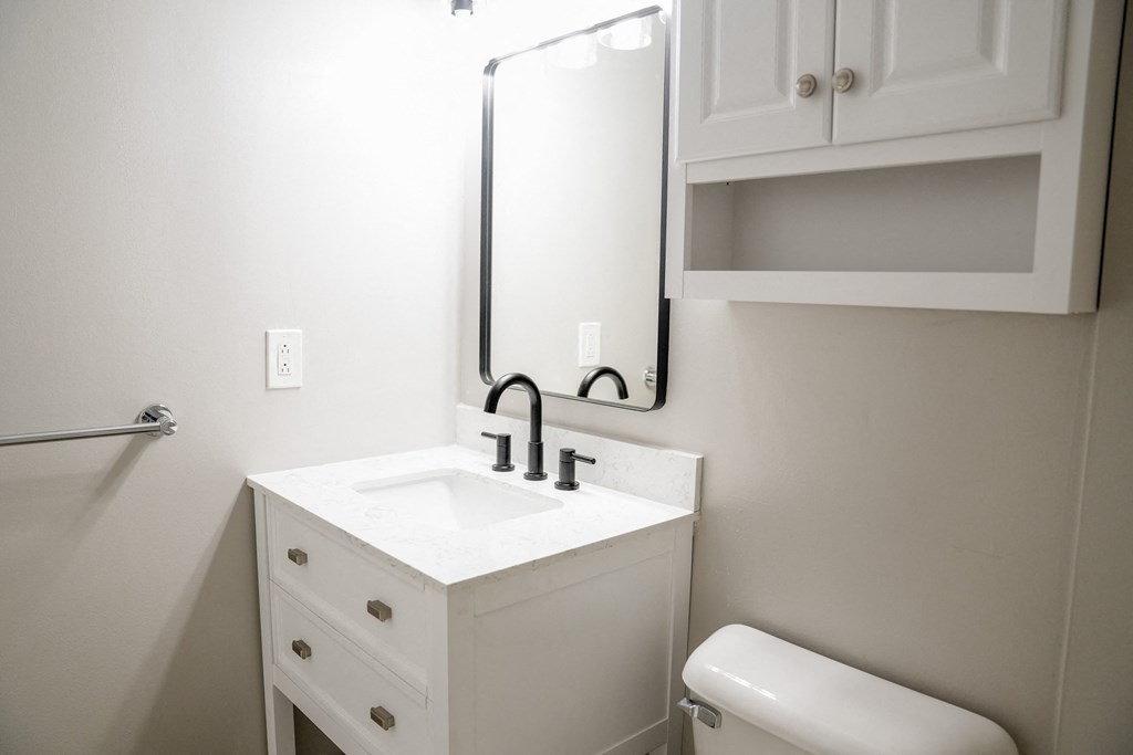 a bathroom with a sink and a mirror