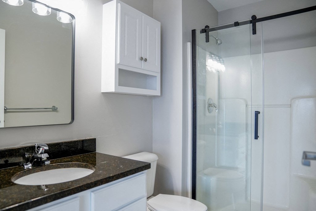 a bathroom with a shower and a sink and a mirror