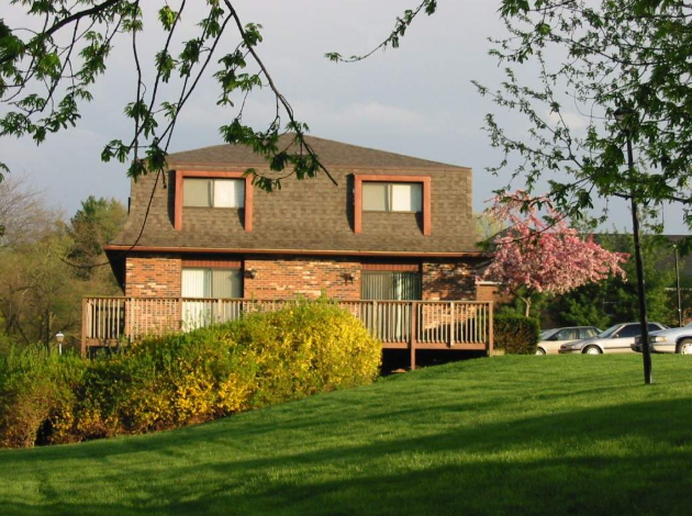 A house with a brown roof and a yellow bush in front.