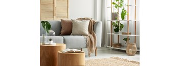 A living room with a grey couch, a wooden coffee table, and a shelf with plants.