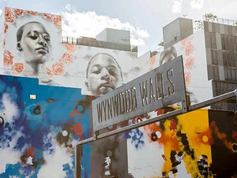 Wynwood Walls Outdoor Art Museum