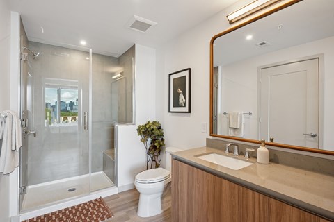 bathroom with walkin shower