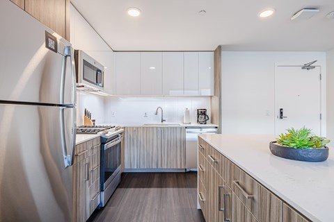 Stainless-Steel, Modern Appliances and Slow-Closing, Fine-Grained Walnut Cabinets * | The Sutton, Portland OR