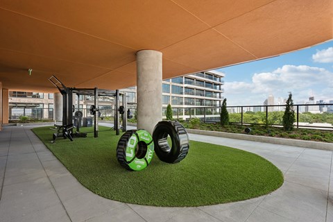 A playground with a green and black tire swing set.