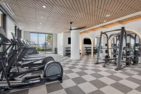 A gym with treadmills, weights, and a checkered floor.