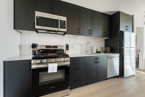 A modern kitchen with black cabinets and stainless steel appliances.