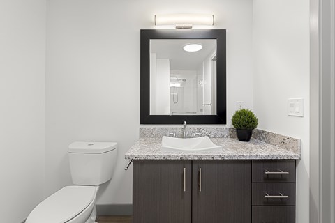 Guest bathroom at 1600 Vine in Hollywood, CA.