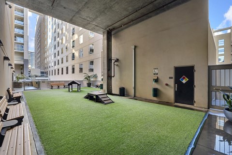 Woof Top pet park at 1600 Vine in Hollywood, CA.