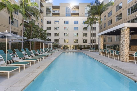 A long rectangular pool with lounge chairs on either side.