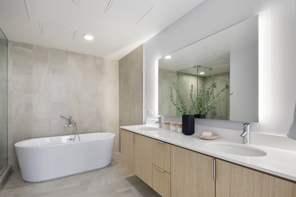 the modern large bathroom