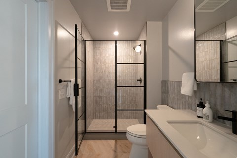 a bathroom with a shower and a sink and a toilet