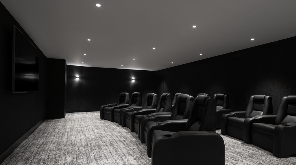 miro theater room