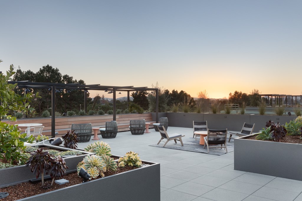Rooftop garden at Star Harbor Apartments & Townhomes in Alameda, CA.