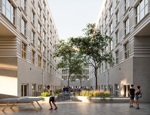A courtyard with people walking and a tree in the middle.