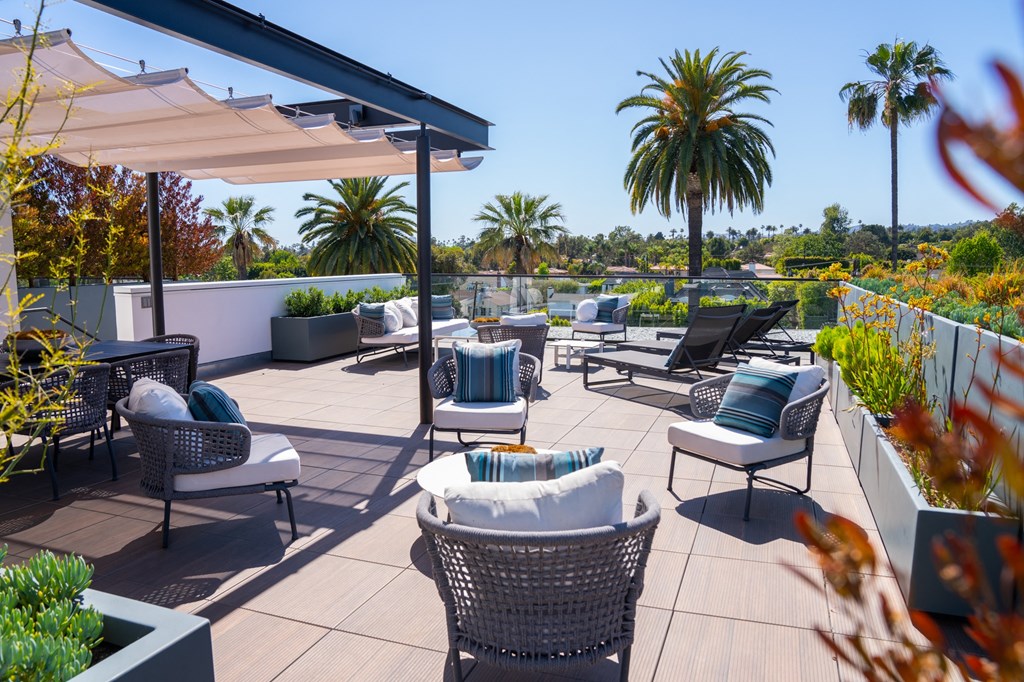 a rooftop patio with chairs and umbrellas and palm trees