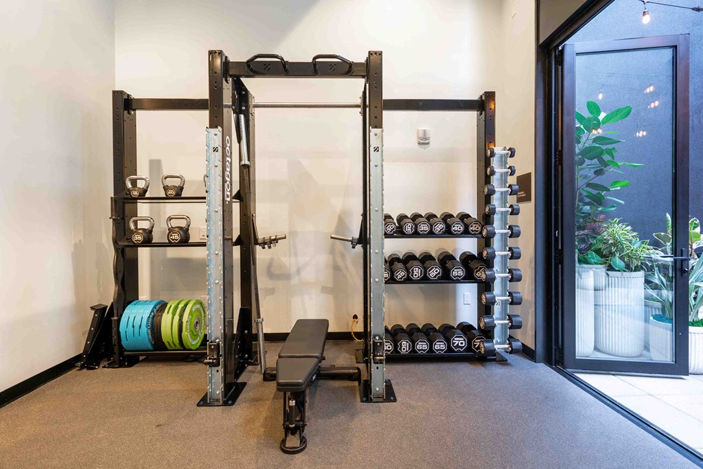 a gym with weights and a rack of dumbbells