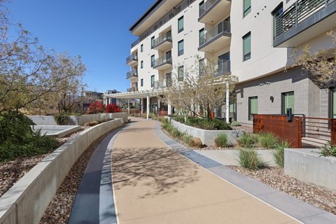A concrete pathway with a blue strip down the middle leads to a building.