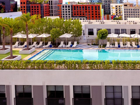 Sentral Wynwood Rooftop Pool