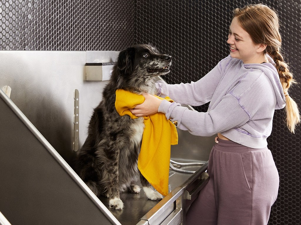Pet Friendly Community with Dedicated Amenities Sentral West Midtown at Star Metals Pet Friendly Community