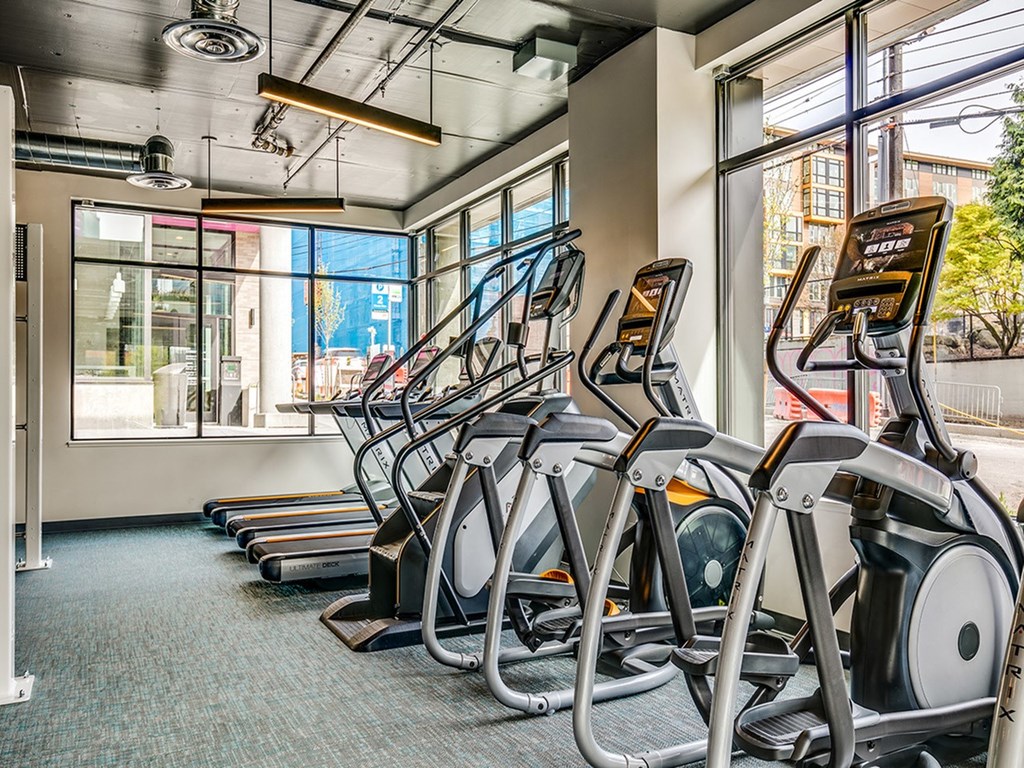 Sentral SLU State-of-the-Art Fitness Equipment