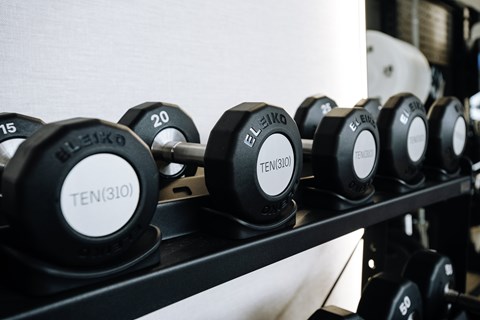 A set of black and white dumbbells with the word "TEN" on them are on a rack.