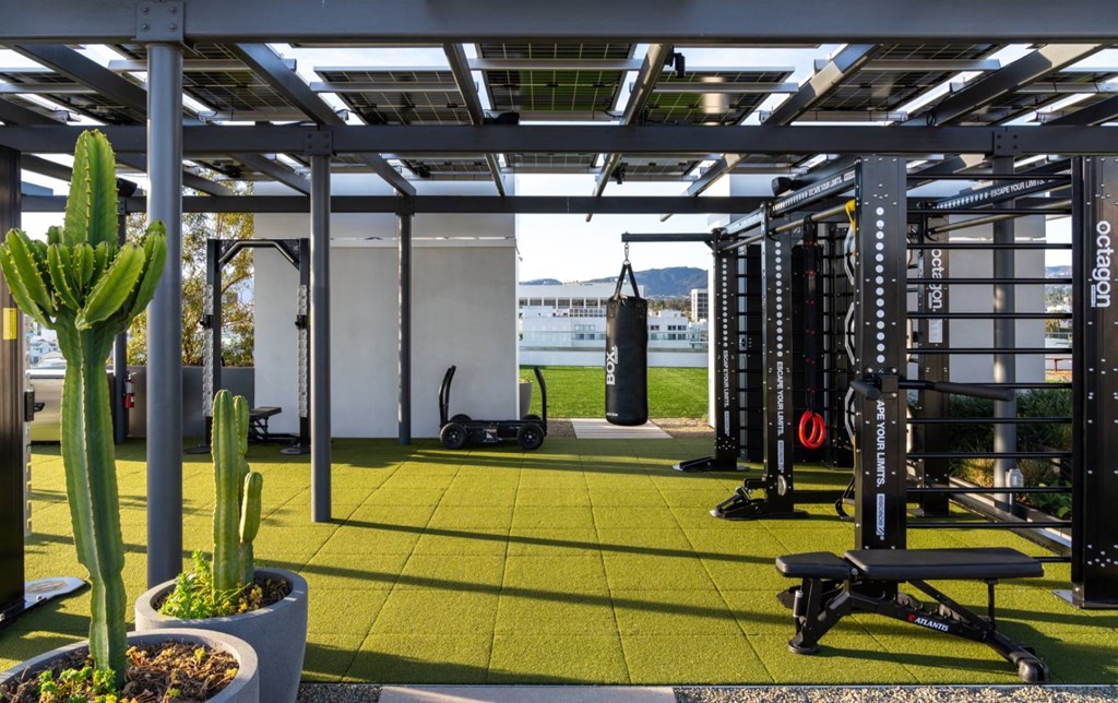 The Field - Outdoor Fitness Programming