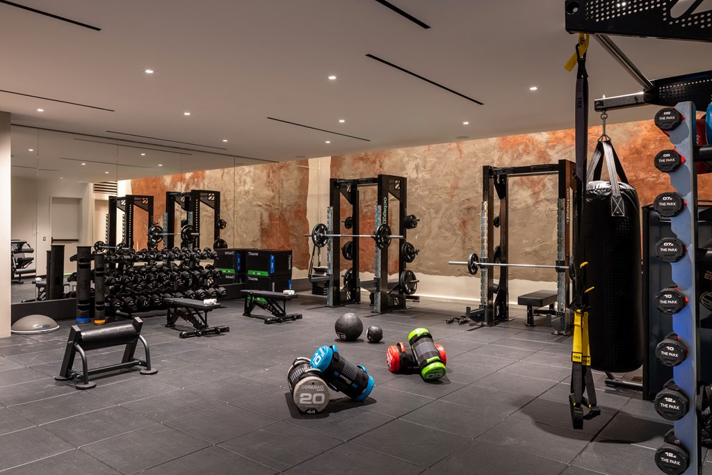 indoor private gym with weights, squat rack, cardio machines and personal training