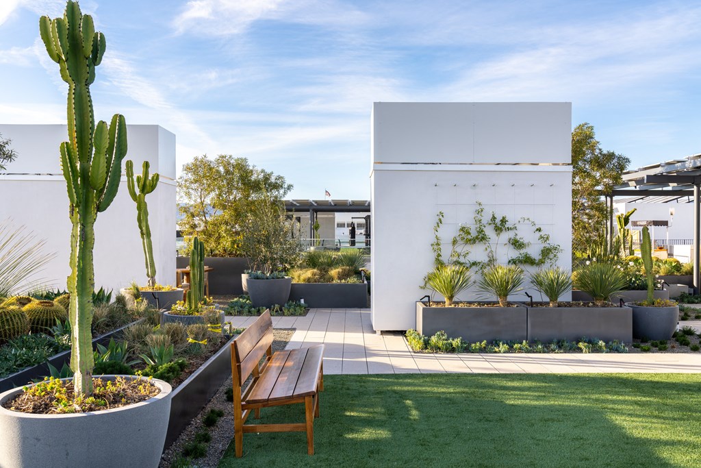 one acre fully programmed private rooftop park