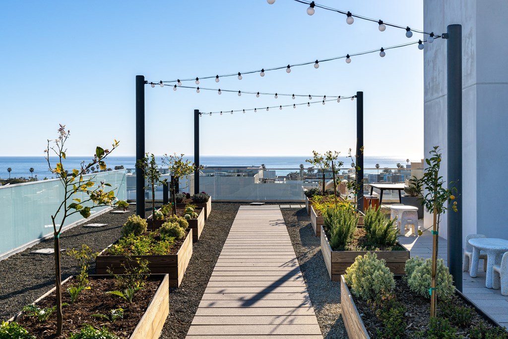 one acre private rooftop with outdoor gym, rooftop dog park, rooftop pool, rooftop farm and garden and more