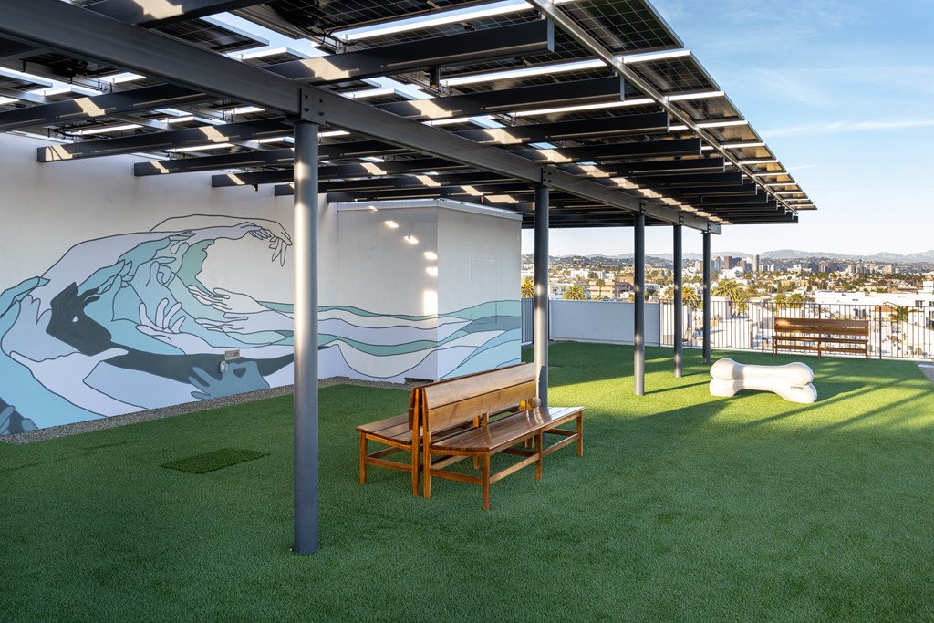 rooftop dog park and pet friendly amenities