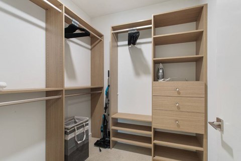 Spacious closet with custom wood look cabinetry and shelves at Ten310