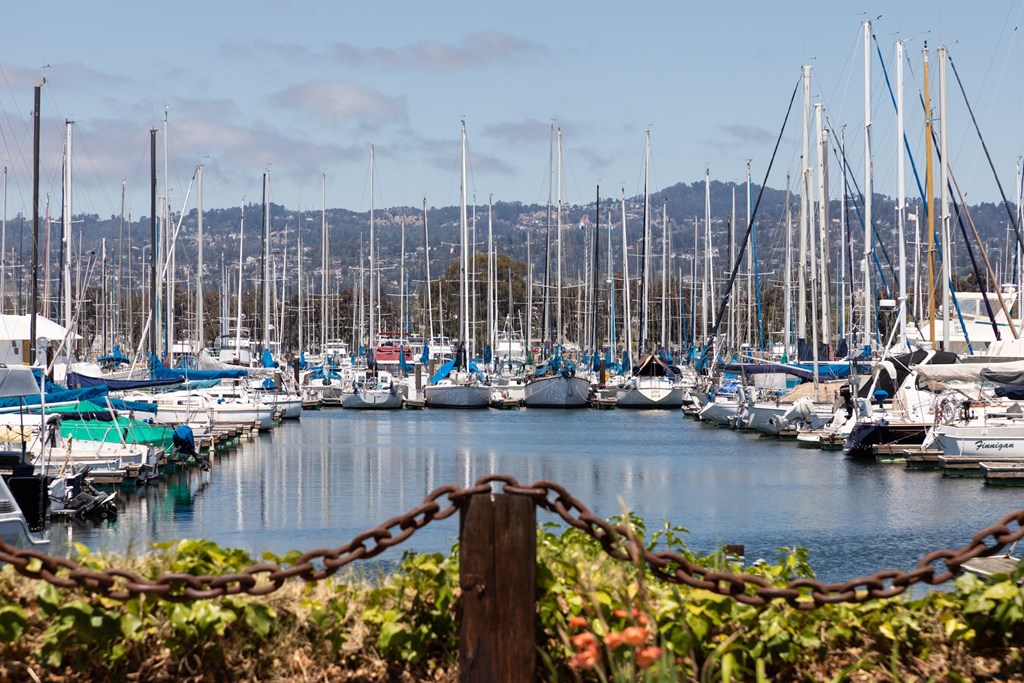 Marina at Star Harbor Apartments & Townhomes in Alameda, CA.