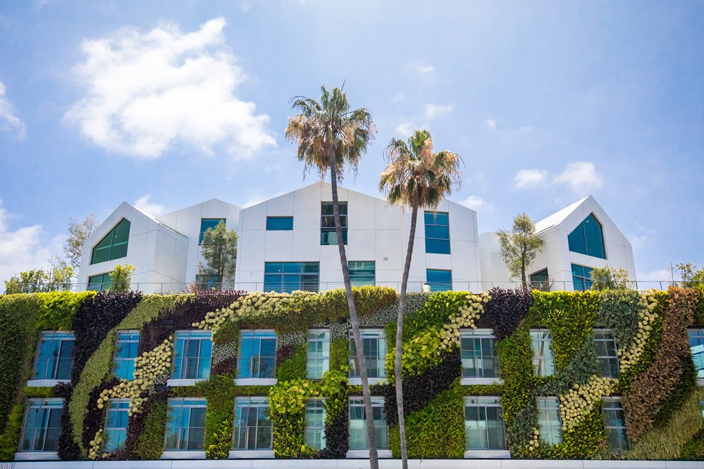 a white building with green vines and palm trees in front of it