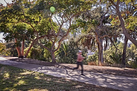 Outdoor trails at Diega in San Diego, CA.