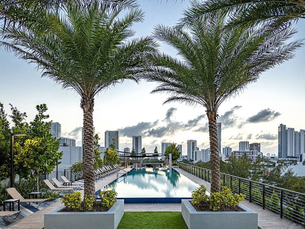Sentral Wynwood Rooftop Pool and Sundeck with City Views