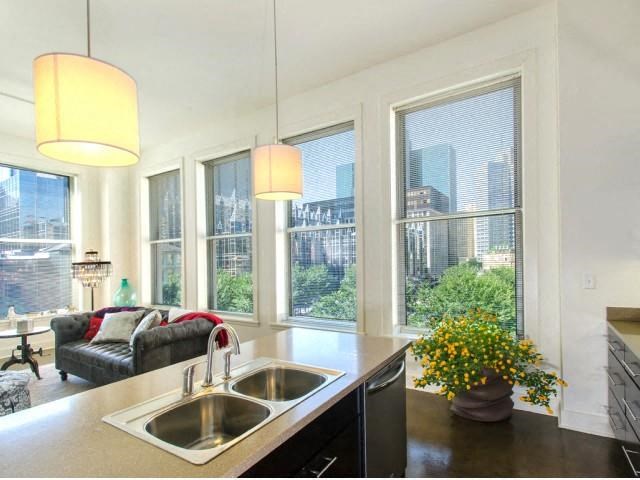 Pet-friendly apartments near me