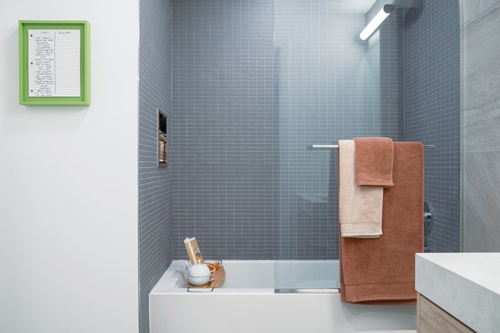 Built-in Shower Niche with Soaker Tub