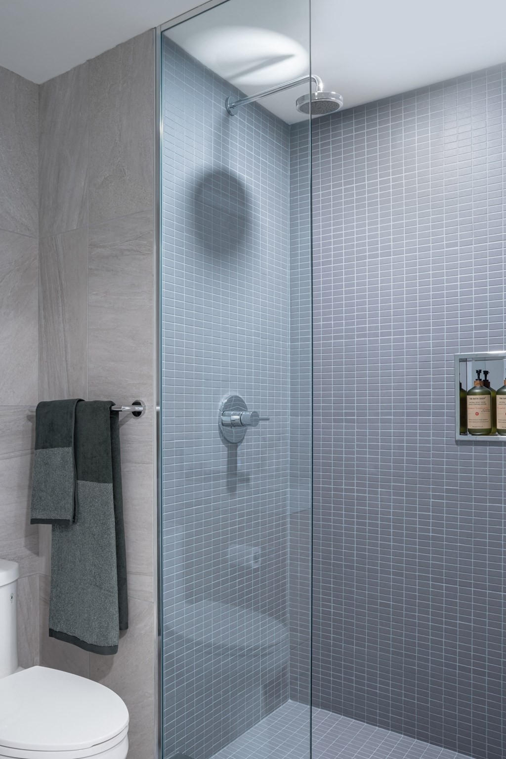 Built-in Shower Niche