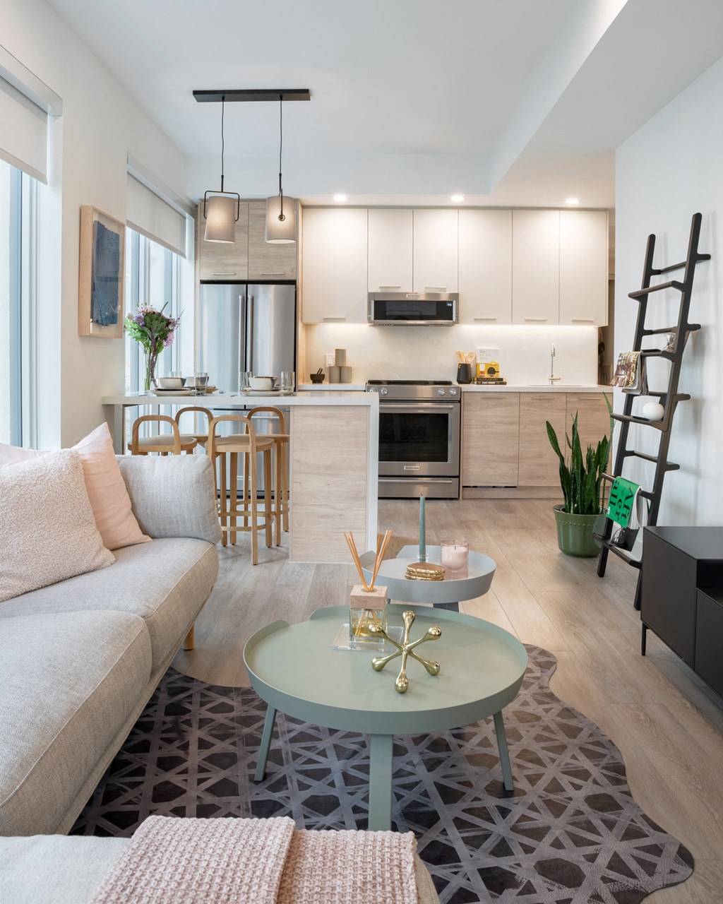 Living Room and Kitchen