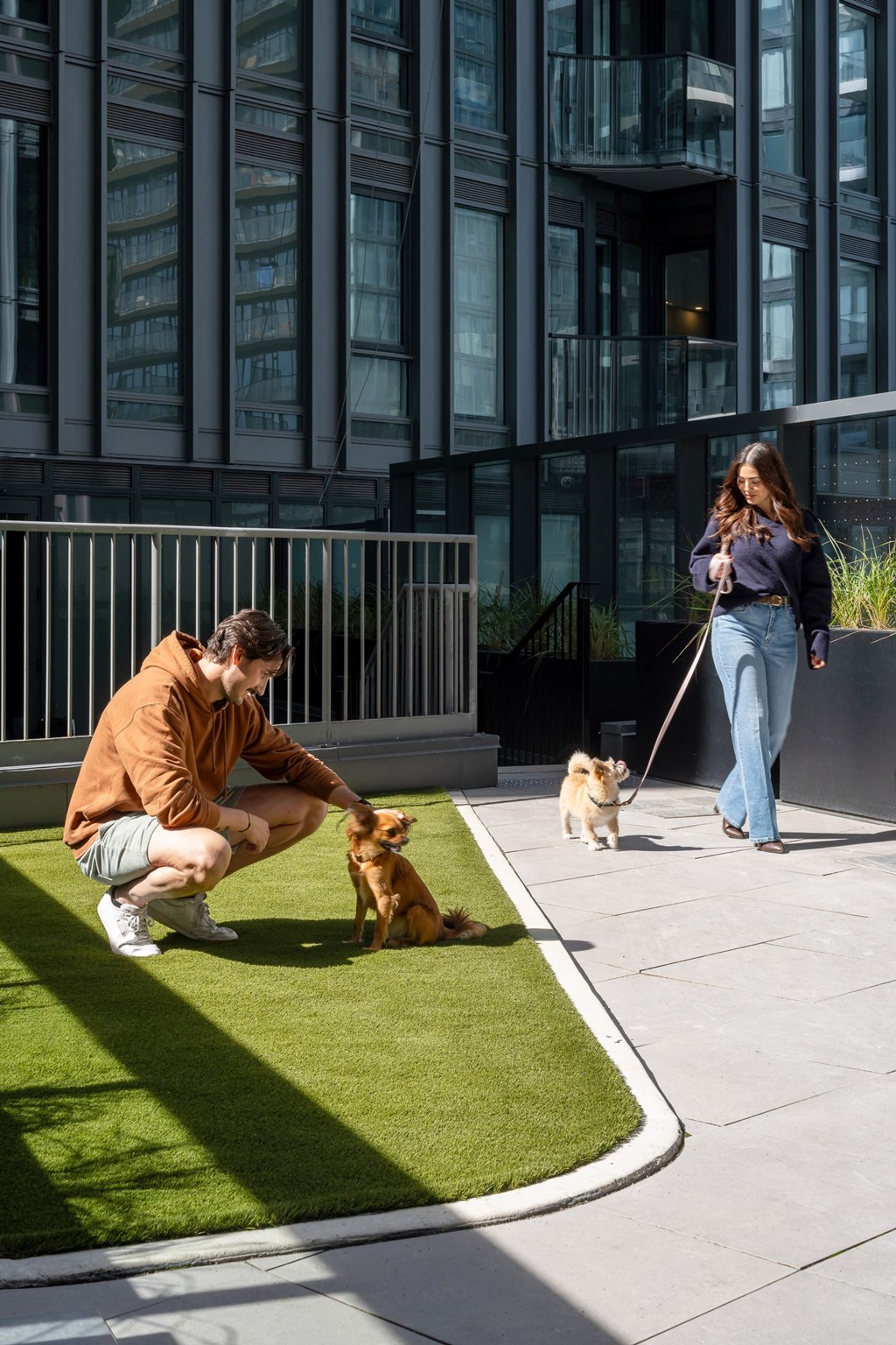 a man and a woman playing with their dogs on the grass