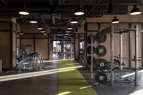 A gym with a green floor mat and weightlifting equipment.