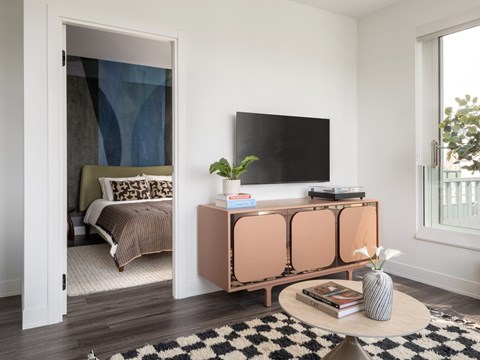A living room with a television, a bed, and a plant.